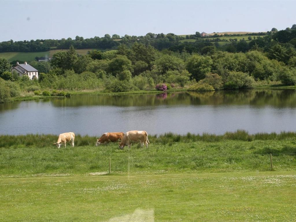 Dunmanway Lake House المظهر الخارجي الصورة