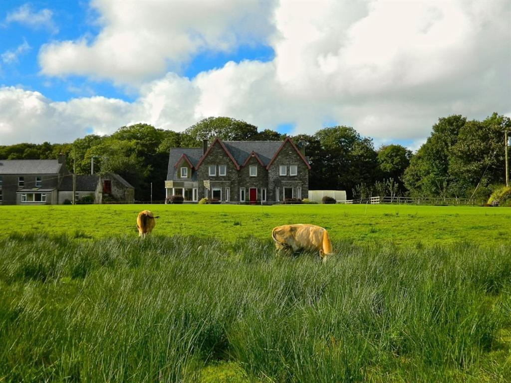 Dunmanway Lake House المظهر الخارجي الصورة