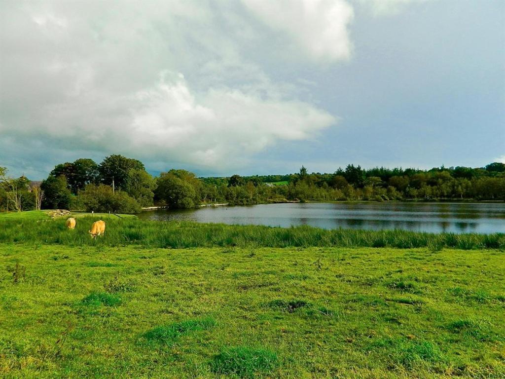 Dunmanway Lake House المظهر الخارجي الصورة